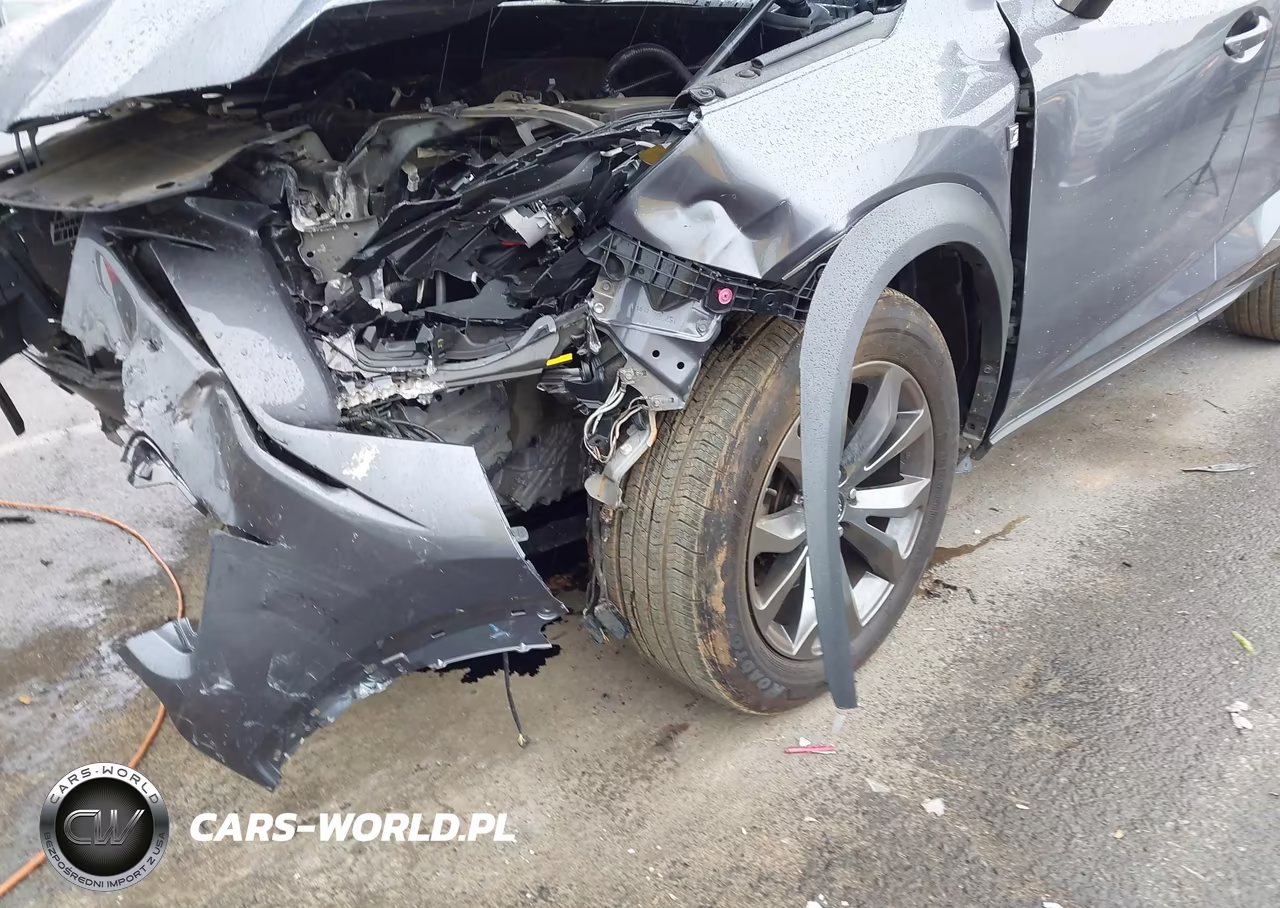 2019 Lexus Nx 300 F Sport VIN:JTJYARBZ3K2118631 - 6