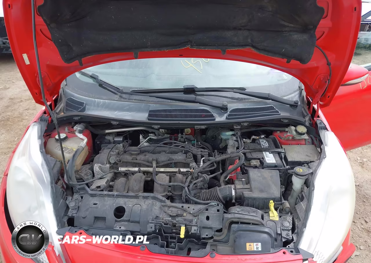 2013 Ford Fiesta Se VIN:3FADP4EJ6DM174850 - 10
