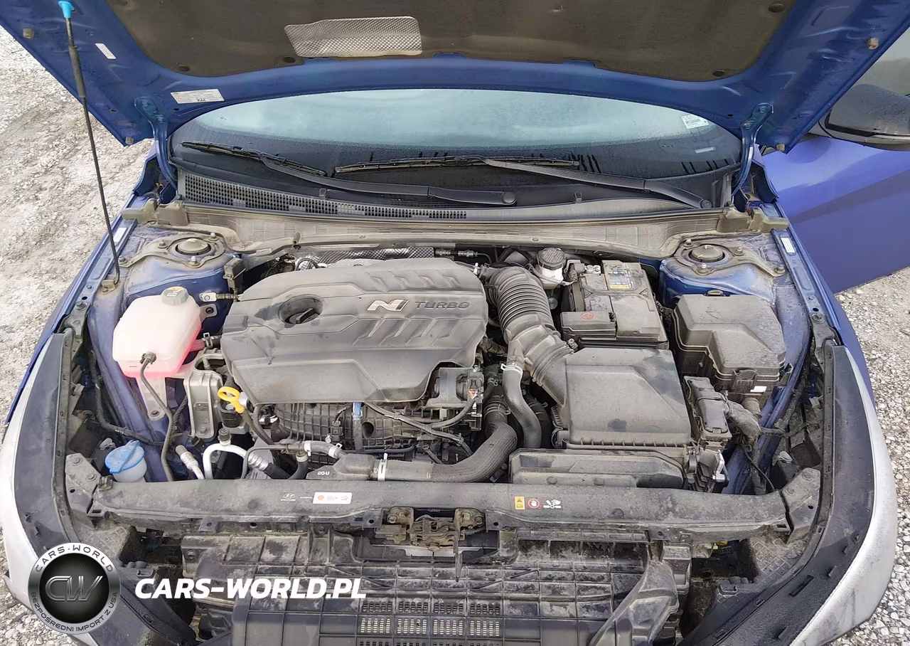 2023 Hyundai Elantra N VIN:KMHLW4AK0PU009797 - 10