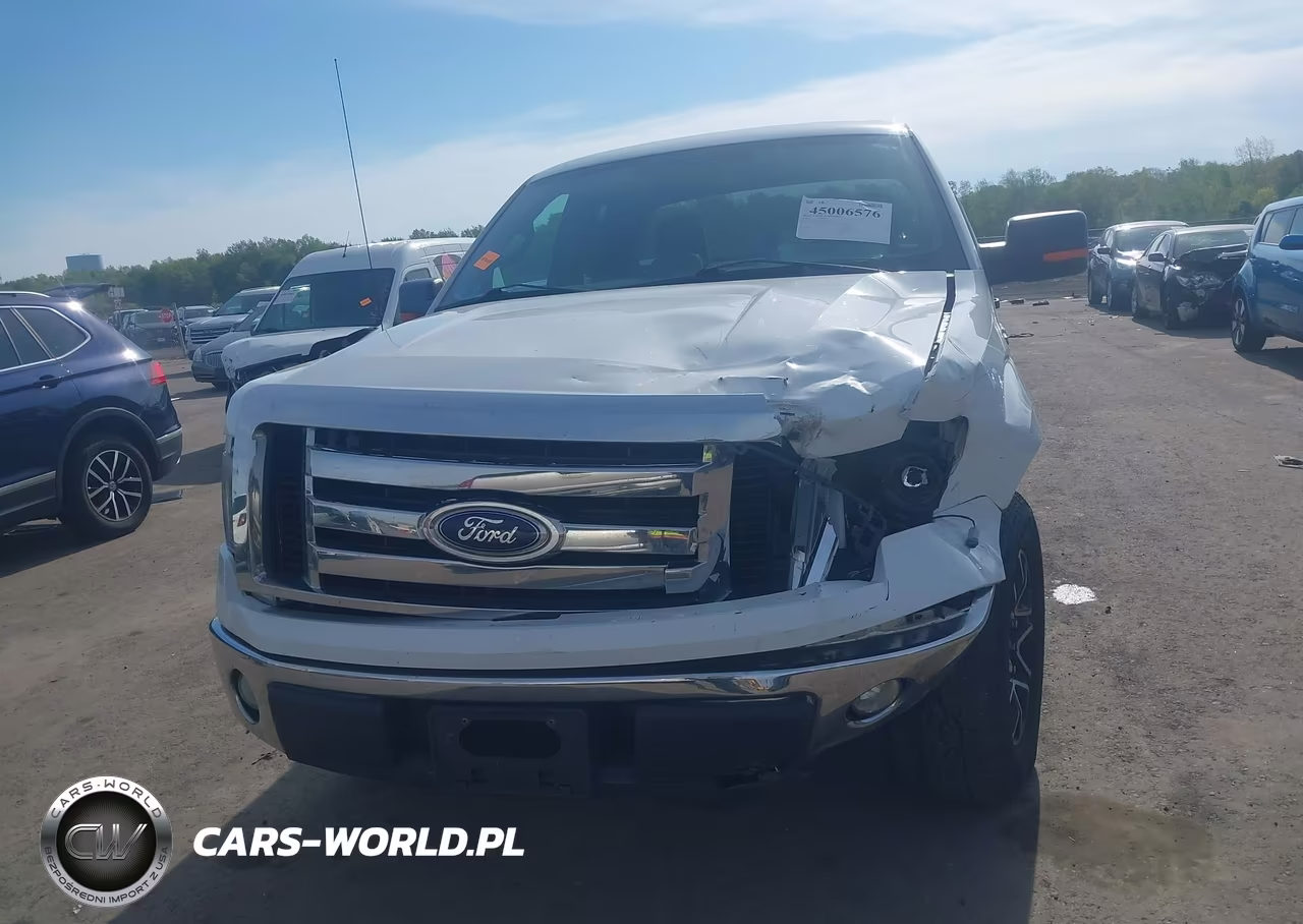 2010 Ford F-150 VIN:1FTEX1C84AFC48260 - 11