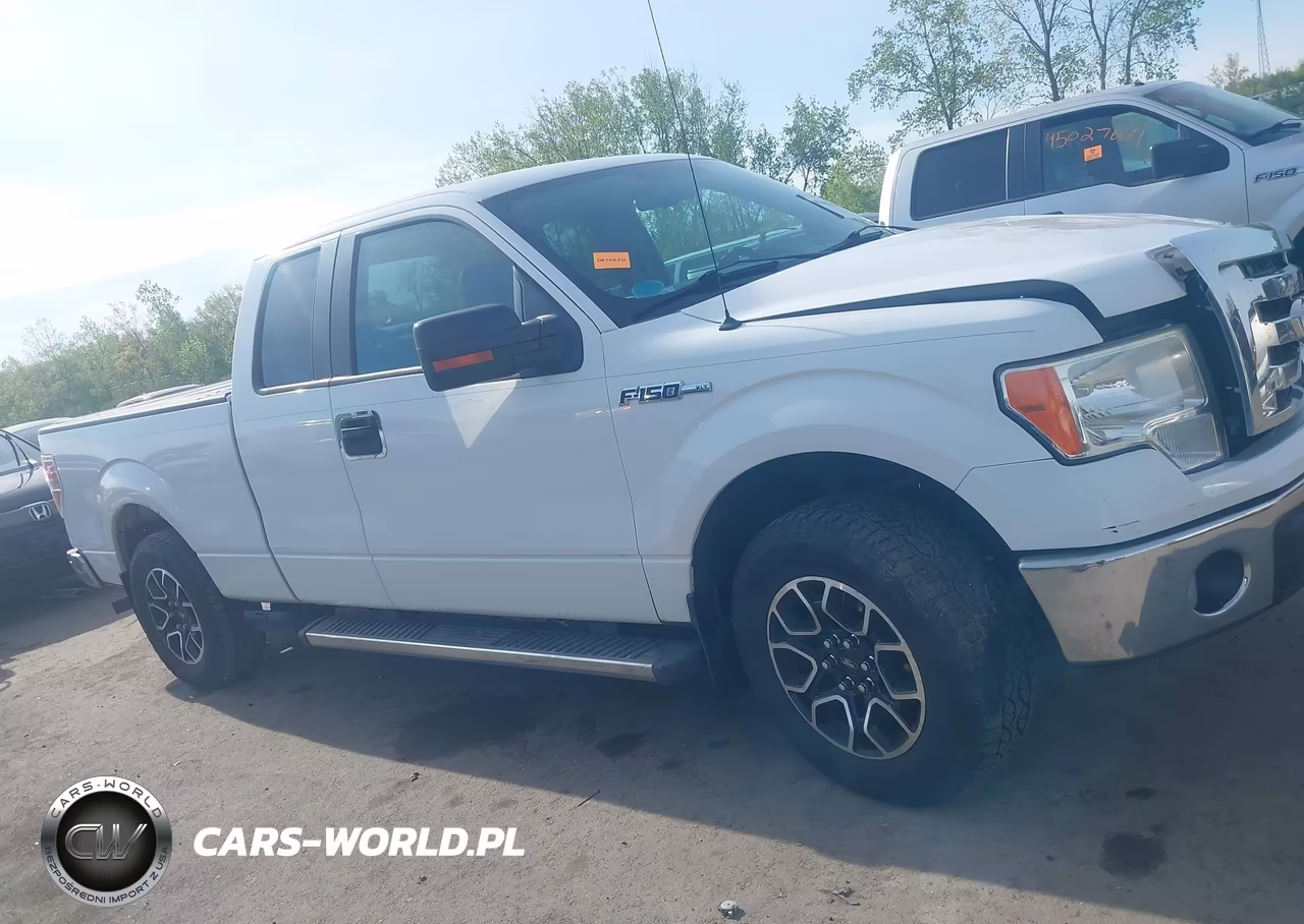 2010 Ford F-150 VIN:1FTEX1C84AFC48260 - 12
