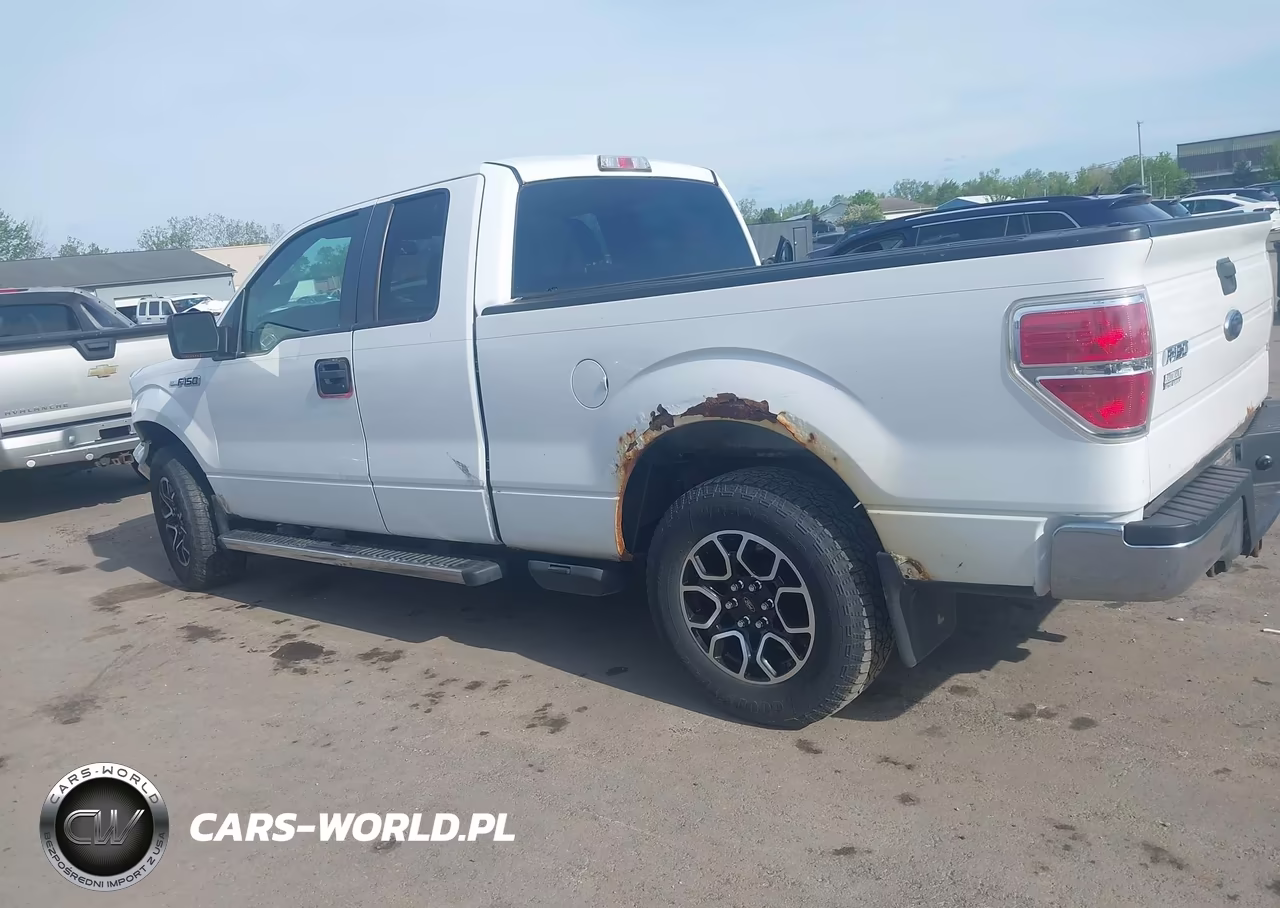 2010 Ford F-150 VIN:1FTEX1C84AFC48260 - 13