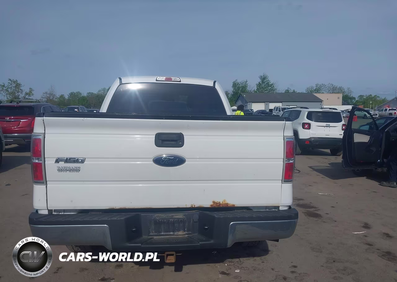 2010 Ford F-150 VIN:1FTEX1C84AFC48260 - 15