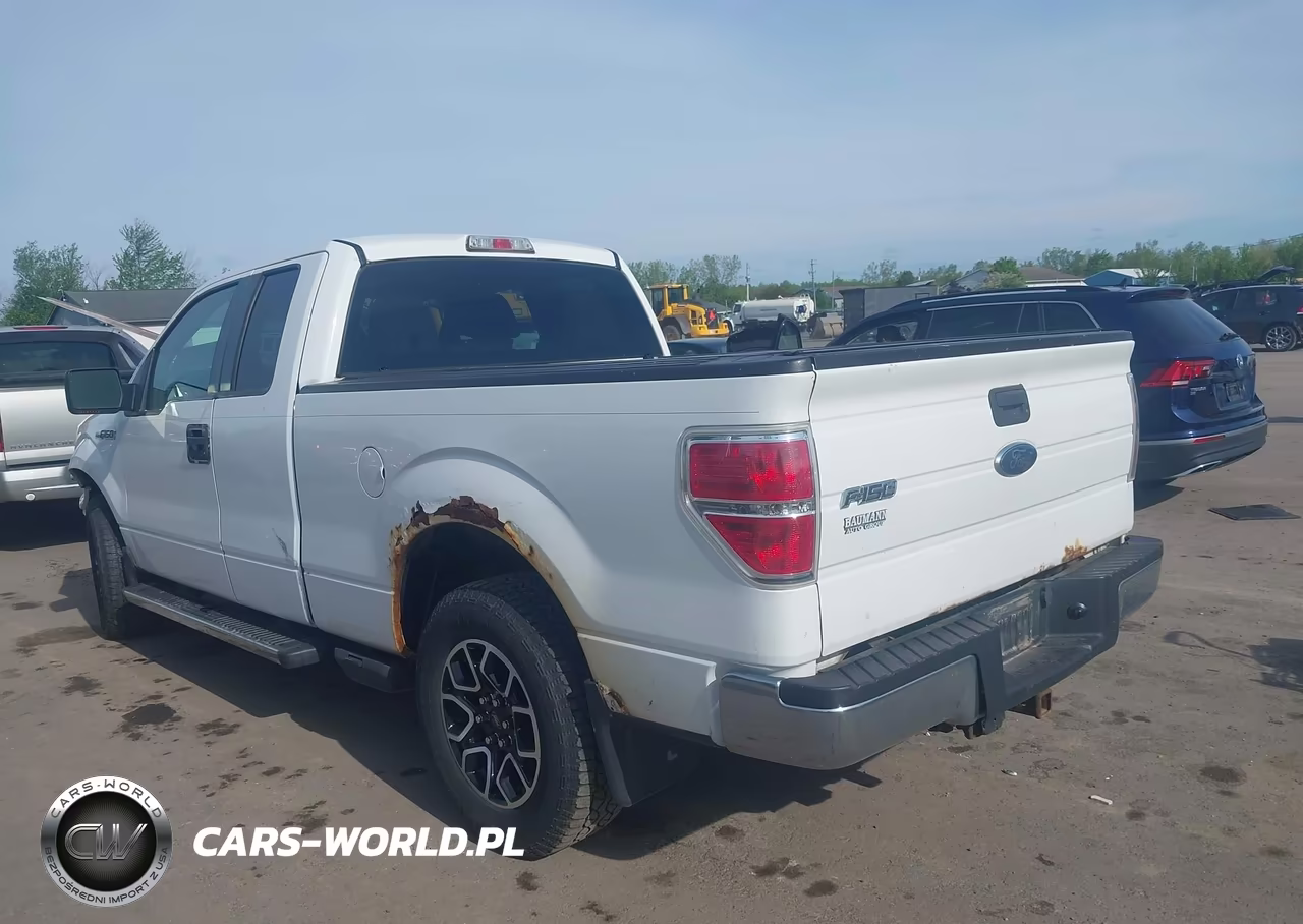 2010 Ford F-150 VIN:1FTEX1C84AFC48260 - 3