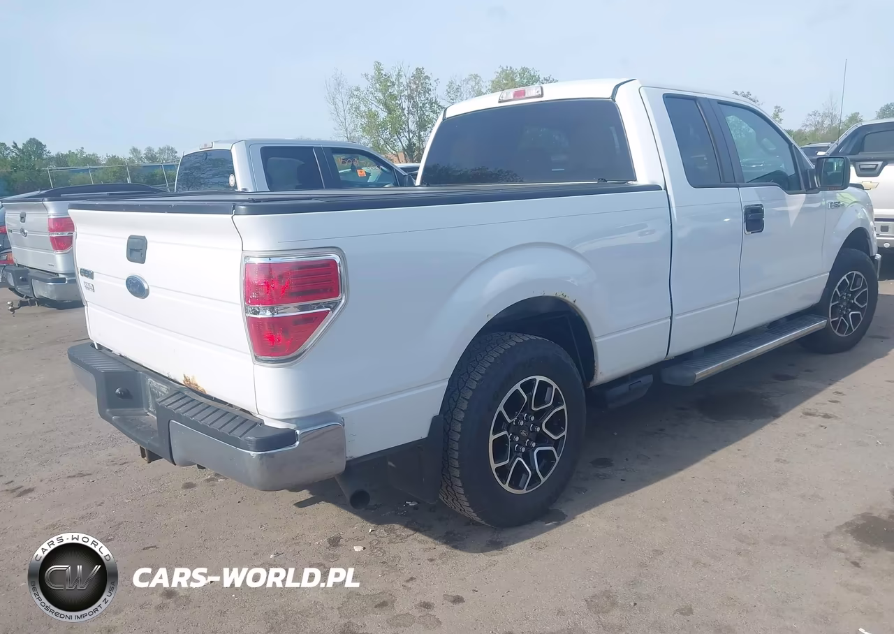 2010 Ford F-150 VIN:1FTEX1C84AFC48260 - 4