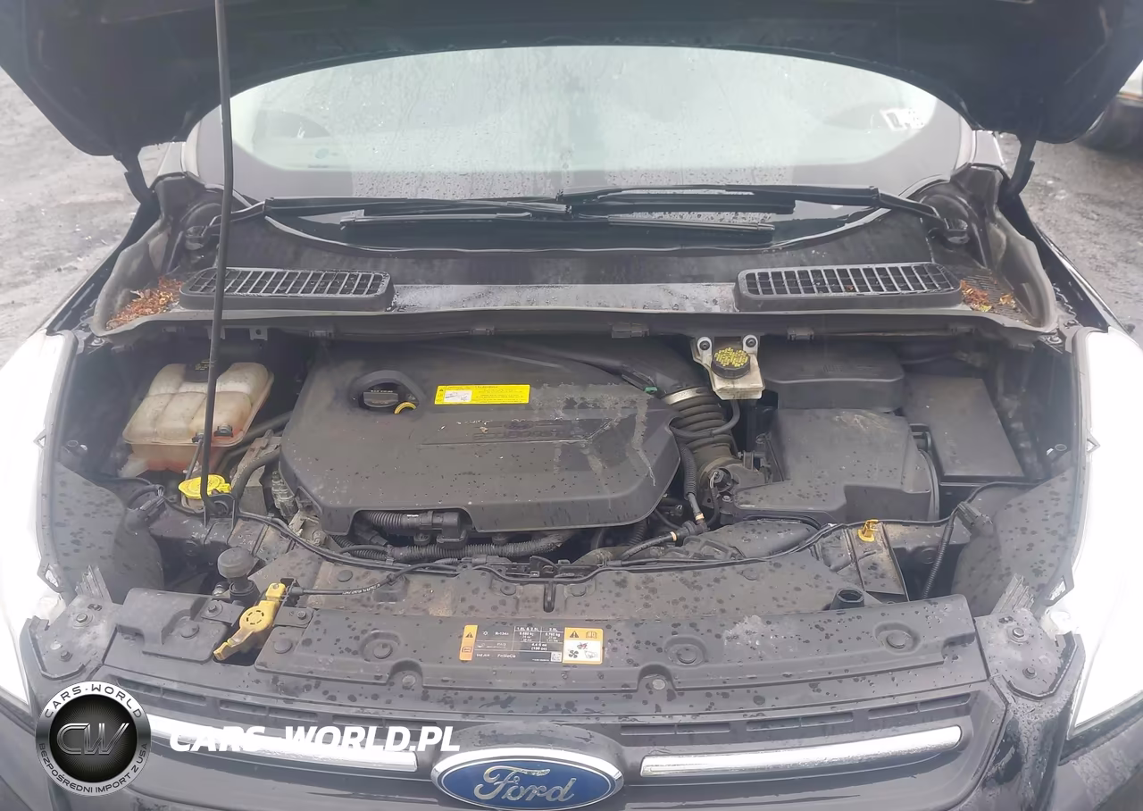 2016 Ford Escape Se VIN:1FMCU9GX5GUA88504 - 10