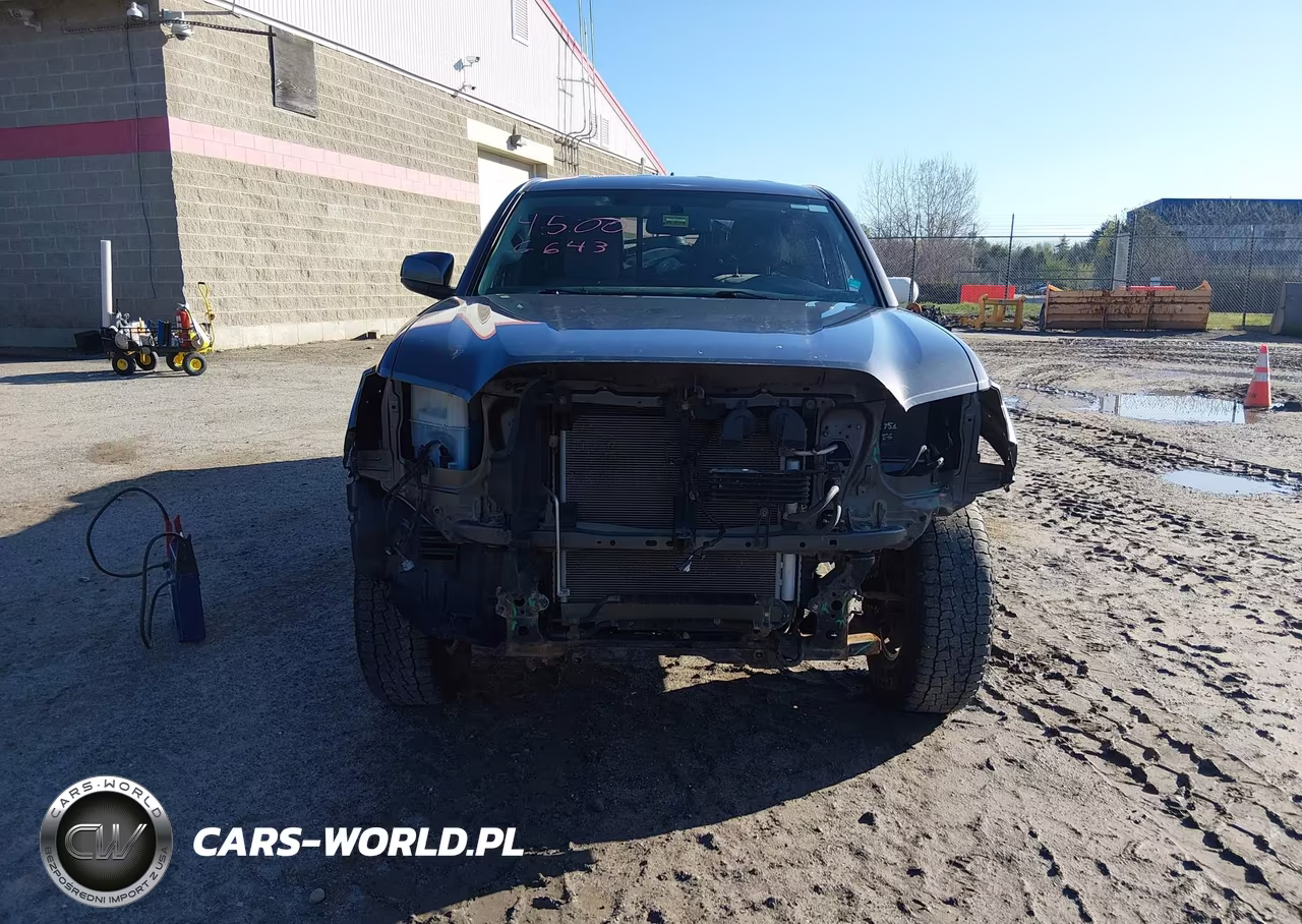 2017 Toyota Tacoma Sr5 V6 VIN:5TFSZ5AN4HX119971 - 13
