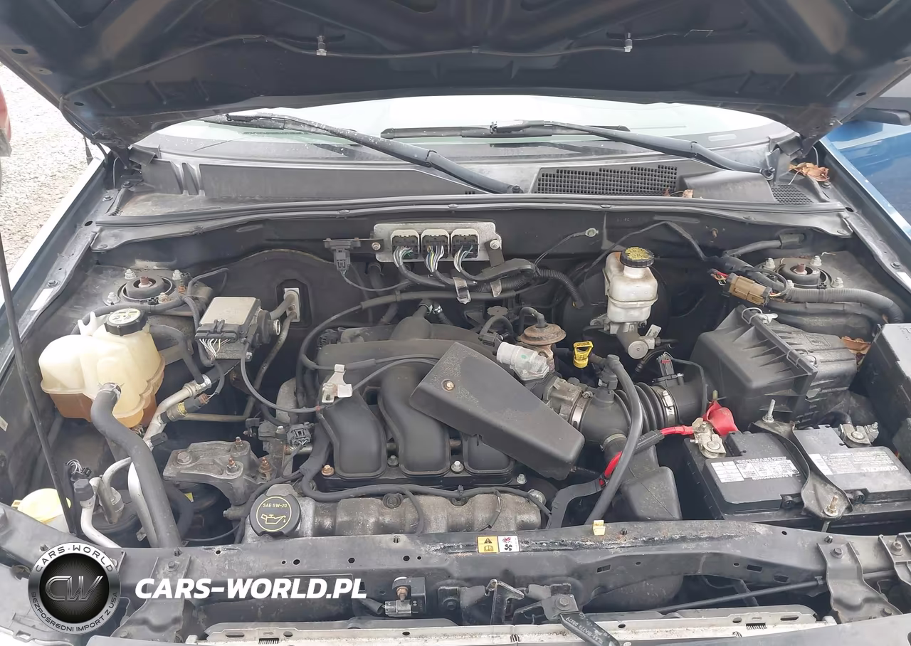 2008 Ford Escape Xlt VIN:1FMCU03188KD48856 - 10