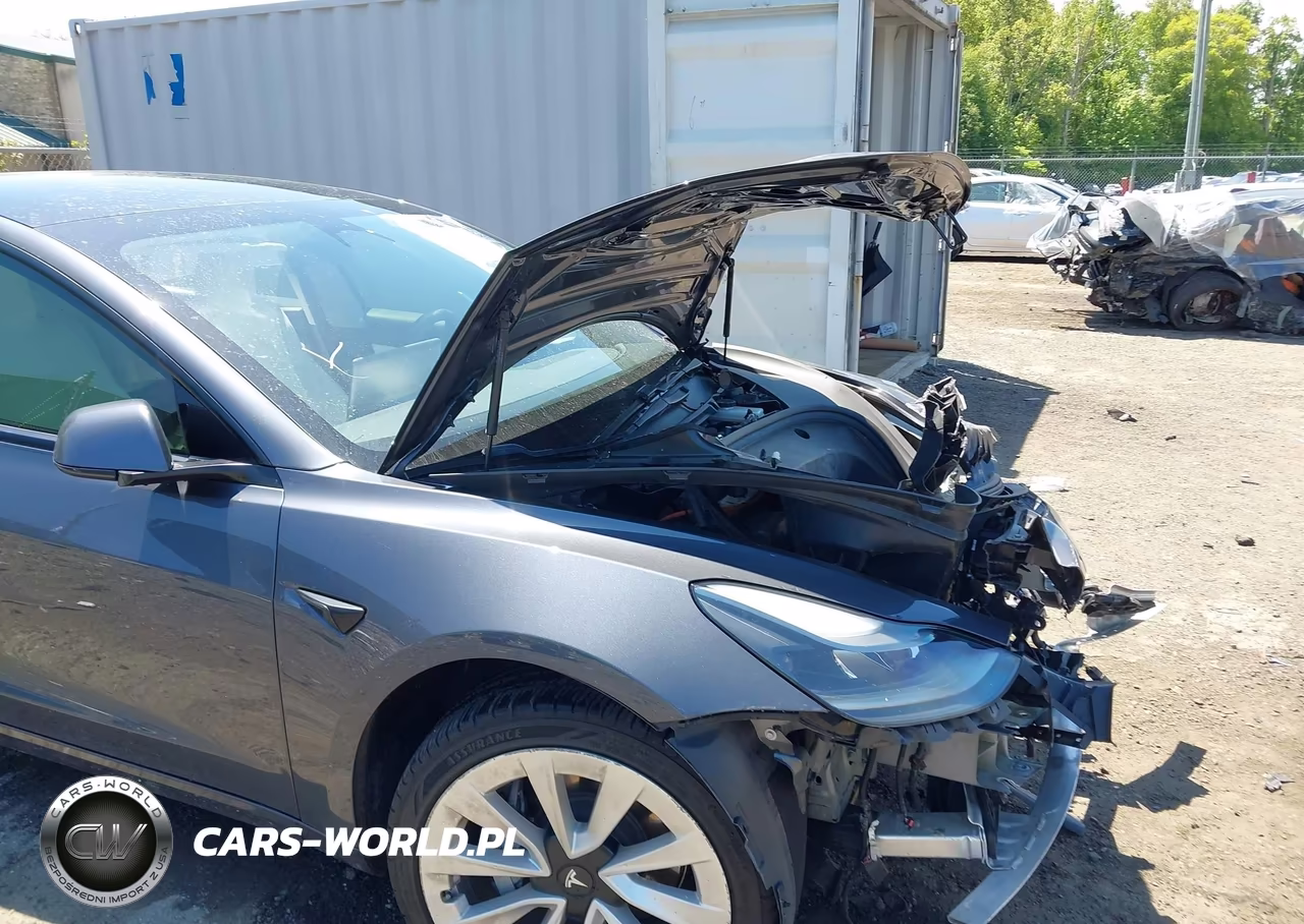 2021 Tesla Model 3 Long Range Dual Motor All-Wheel Drive VIN:5YJ3E1EBXMF906954 - 19