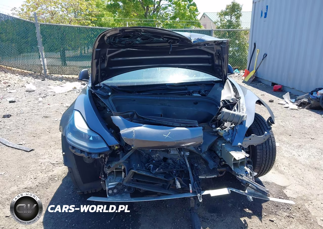 2021 Tesla Model 3 Long Range Dual Motor All-Wheel Drive VIN:5YJ3E1EBXMF906954 - 6