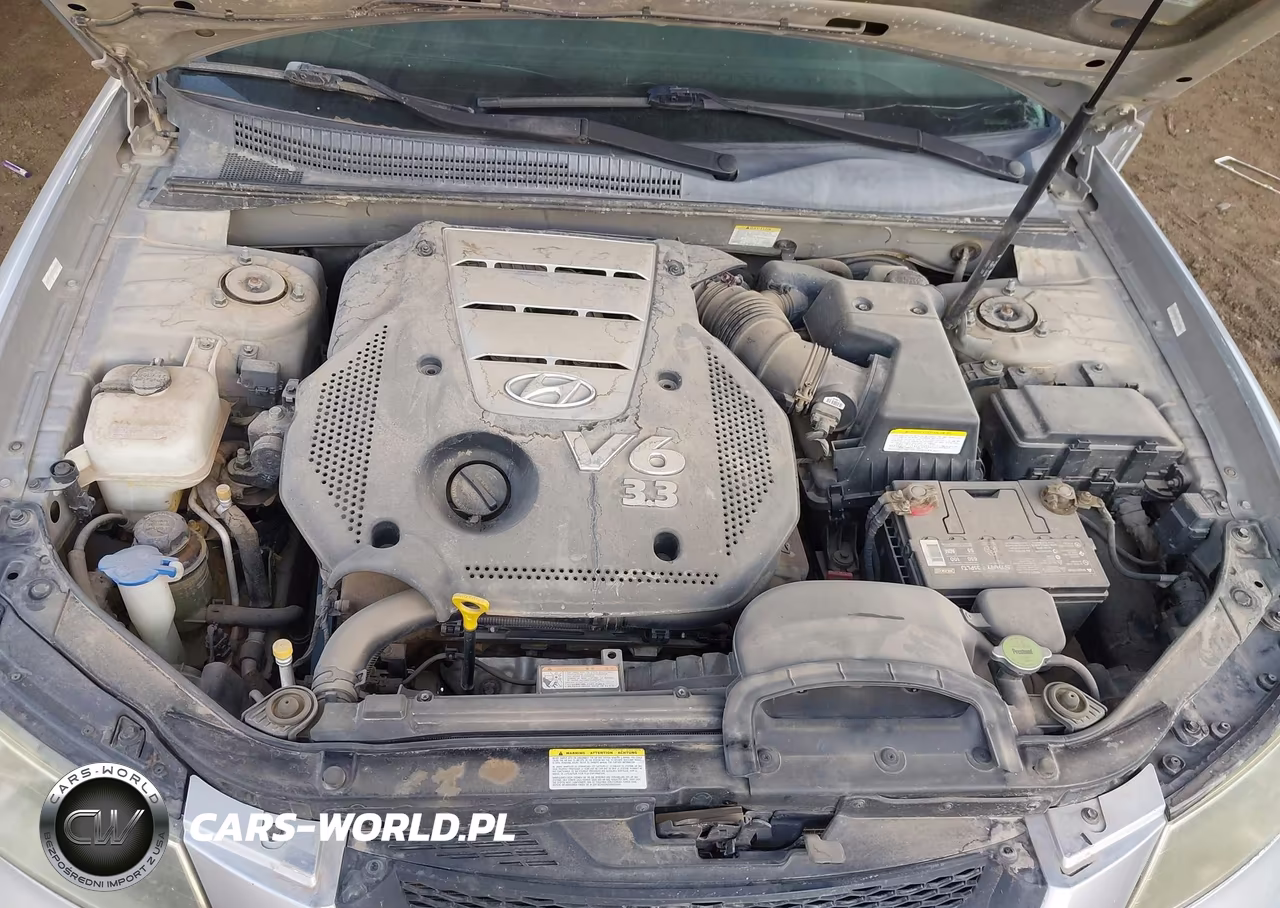 2008 Hyundai Sonata Limited V6-Se V6 VIN:5NPEU46F08H307955 - 10