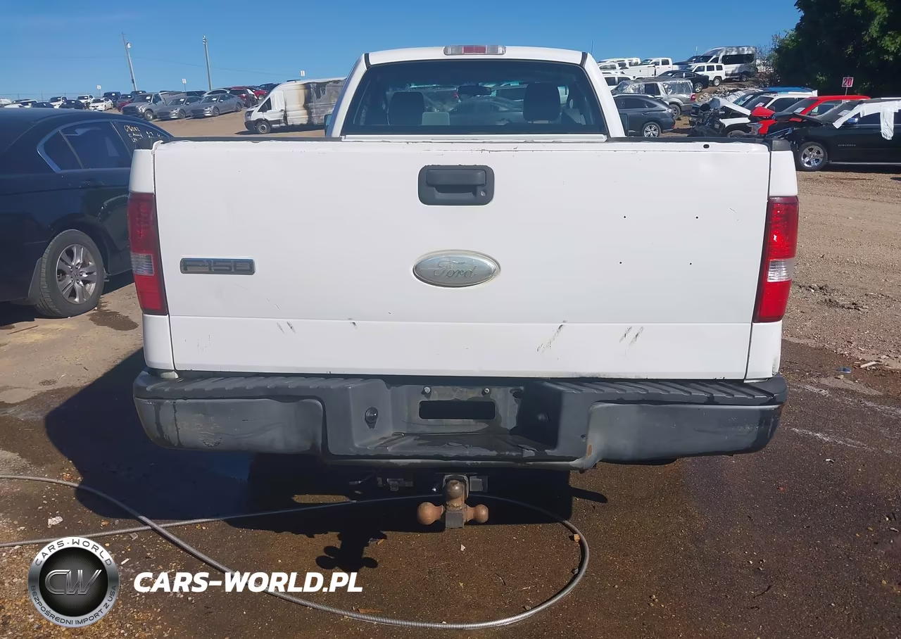 2006 Ford F-150 Stx-Xl-Xlt VIN:1FTRF12246NB88480 - 16
