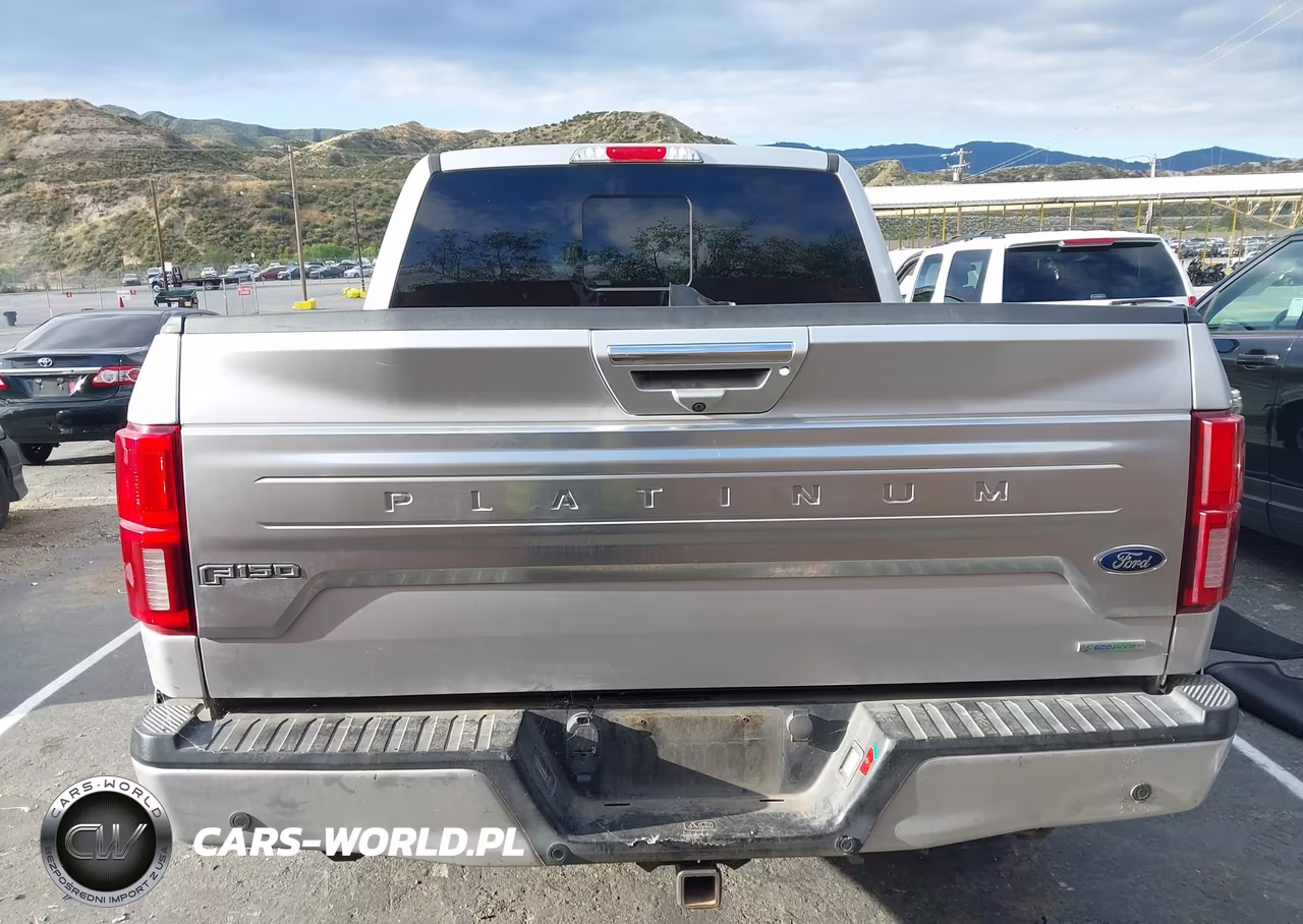 2019 Ford F-150 VIN:1FTEW1E48KFB17928 - 16