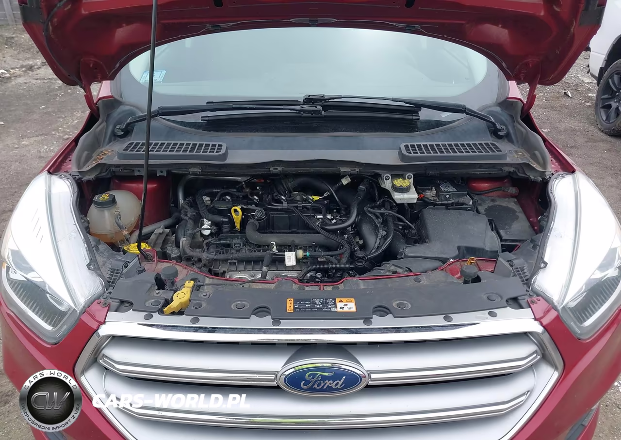 2017 Ford Escape Se VIN:1FMCU0GD5HUC09731 - 10