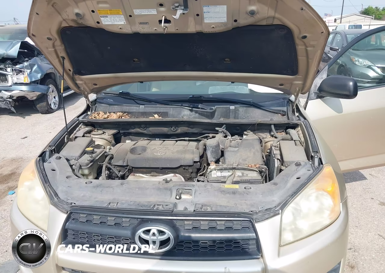 2009 Toyota Rav4 VIN:JTMBF33V59D014448 - 10
