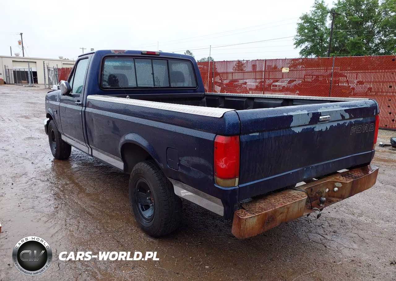 1995 Ford F150 VIN:1FTDF15Y8SLA15481 - 3
