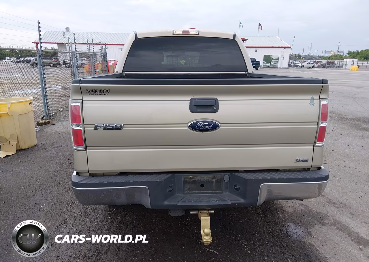 2010 Ford F-150 Fx2 Sport-Harley-Davidson-King Ranch-Lariat-Platinum-Xl-Xlt VIN:1FTFW1CV3AKA57563 - 16