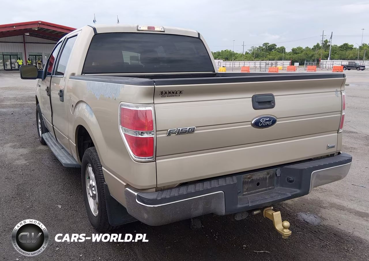 2010 Ford F-150 Fx2 Sport-Harley-Davidson-King Ranch-Lariat-Platinum-Xl-Xlt VIN:1FTFW1CV3AKA57563 - 3