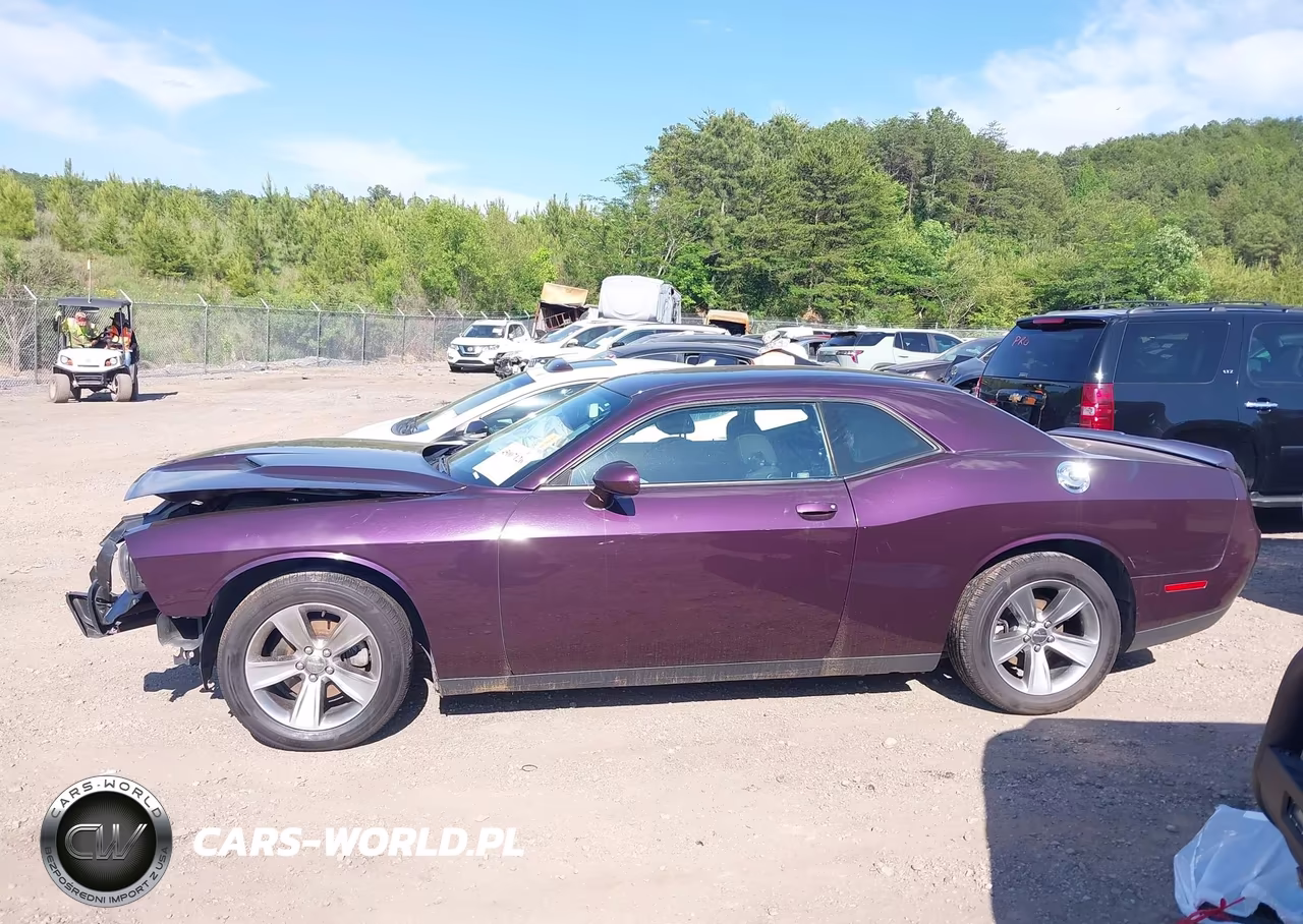 2020 Dodge Challenger Sxt VIN:2C3CDZAG9LH250844 - 14