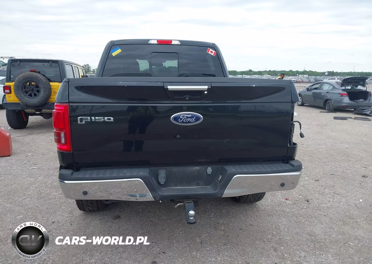 2016 Ford F-150 King Ranch-Lariat-Limited-Platinum-Xl-Xlt VIN:1FTEW1EG3GKE54595 - 16