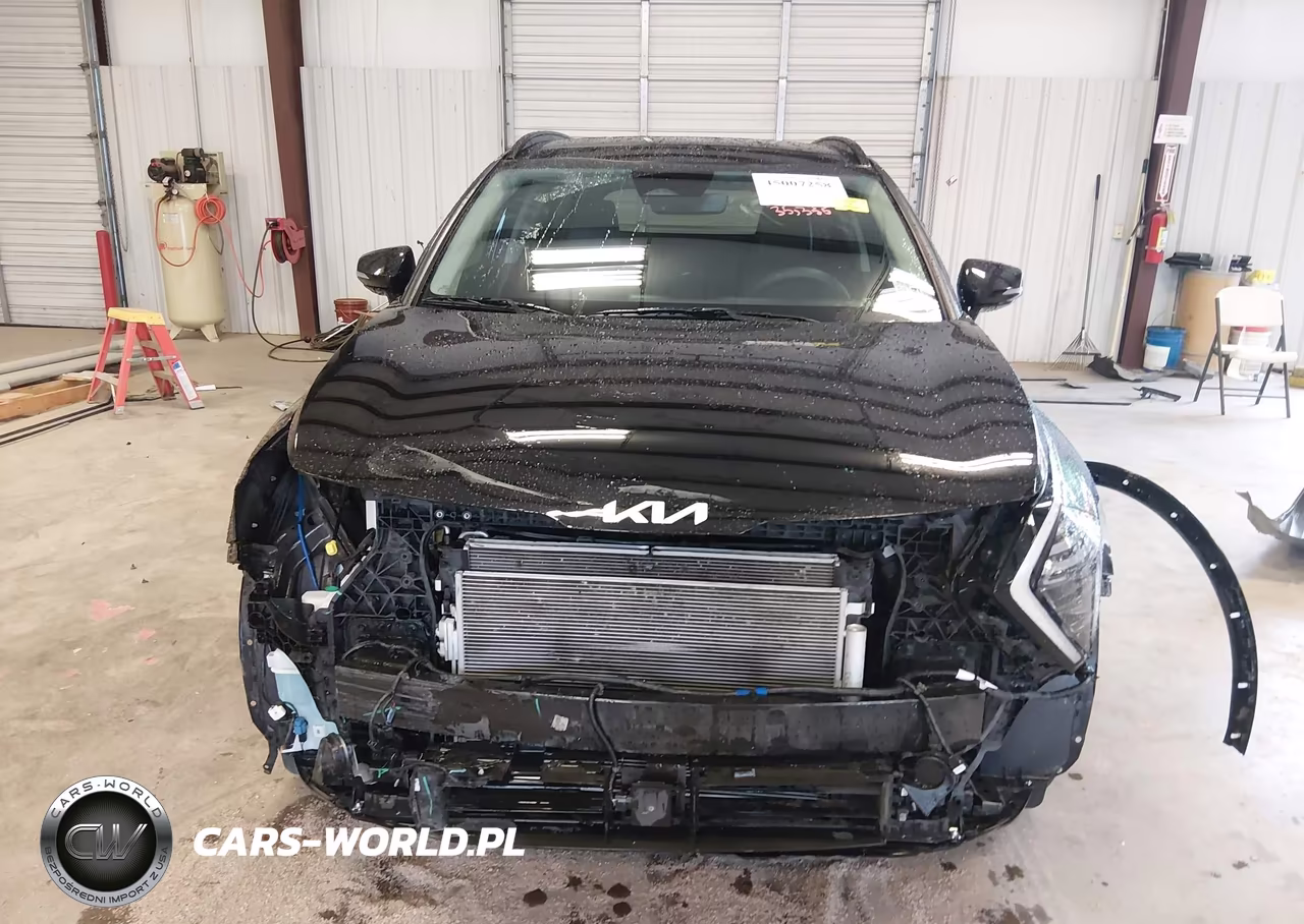 2024 Kia Sportage Sx VIN:5XYK43DF6RG216469 - 12