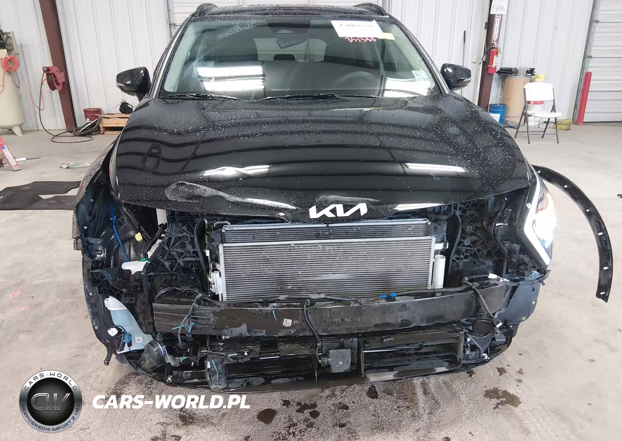 2024 Kia Sportage Sx VIN:5XYK43DF6RG216469 - 6