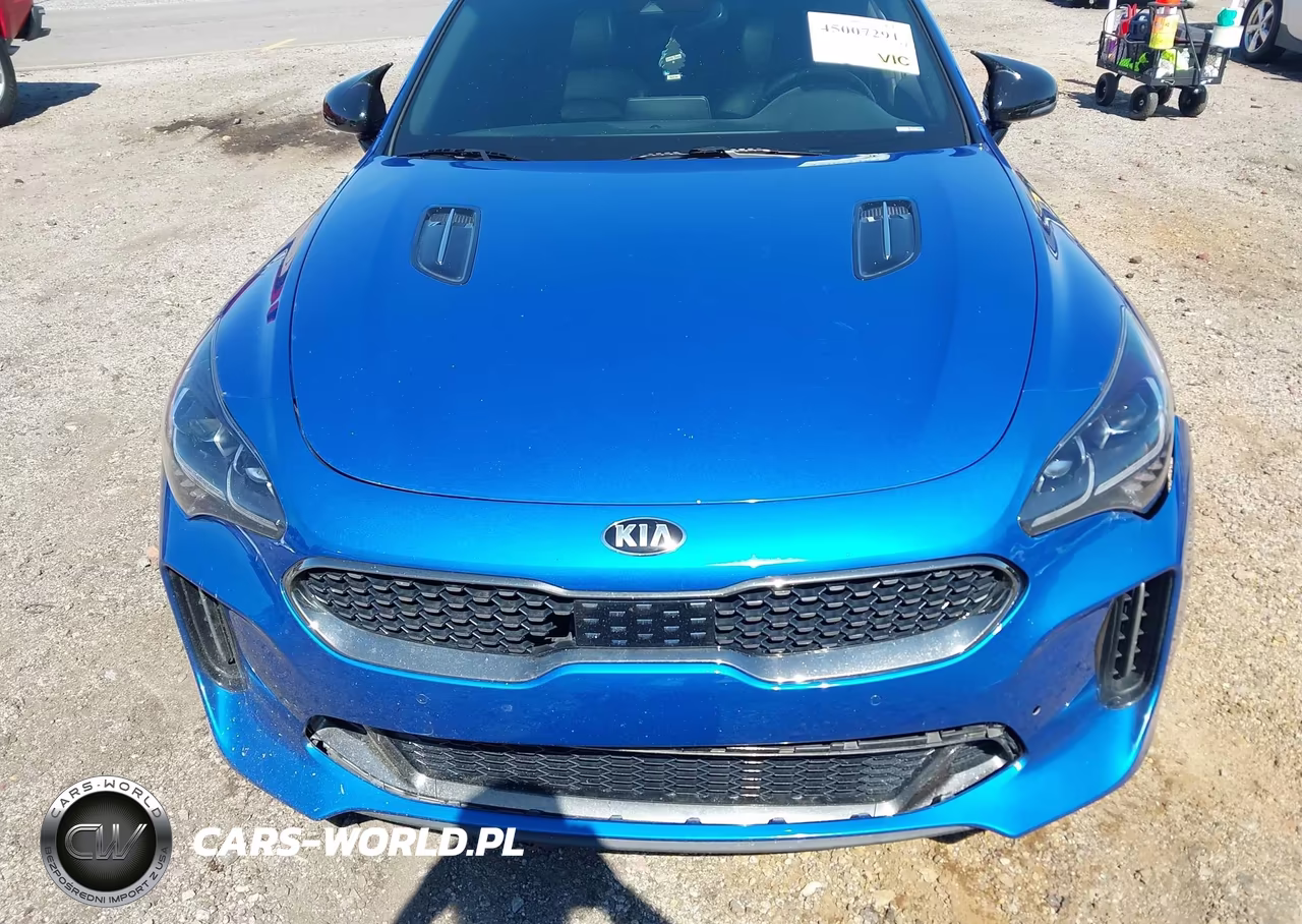 2019 Kia Stinger Gt1 VIN:KNAE45LC9K6062457 - 13