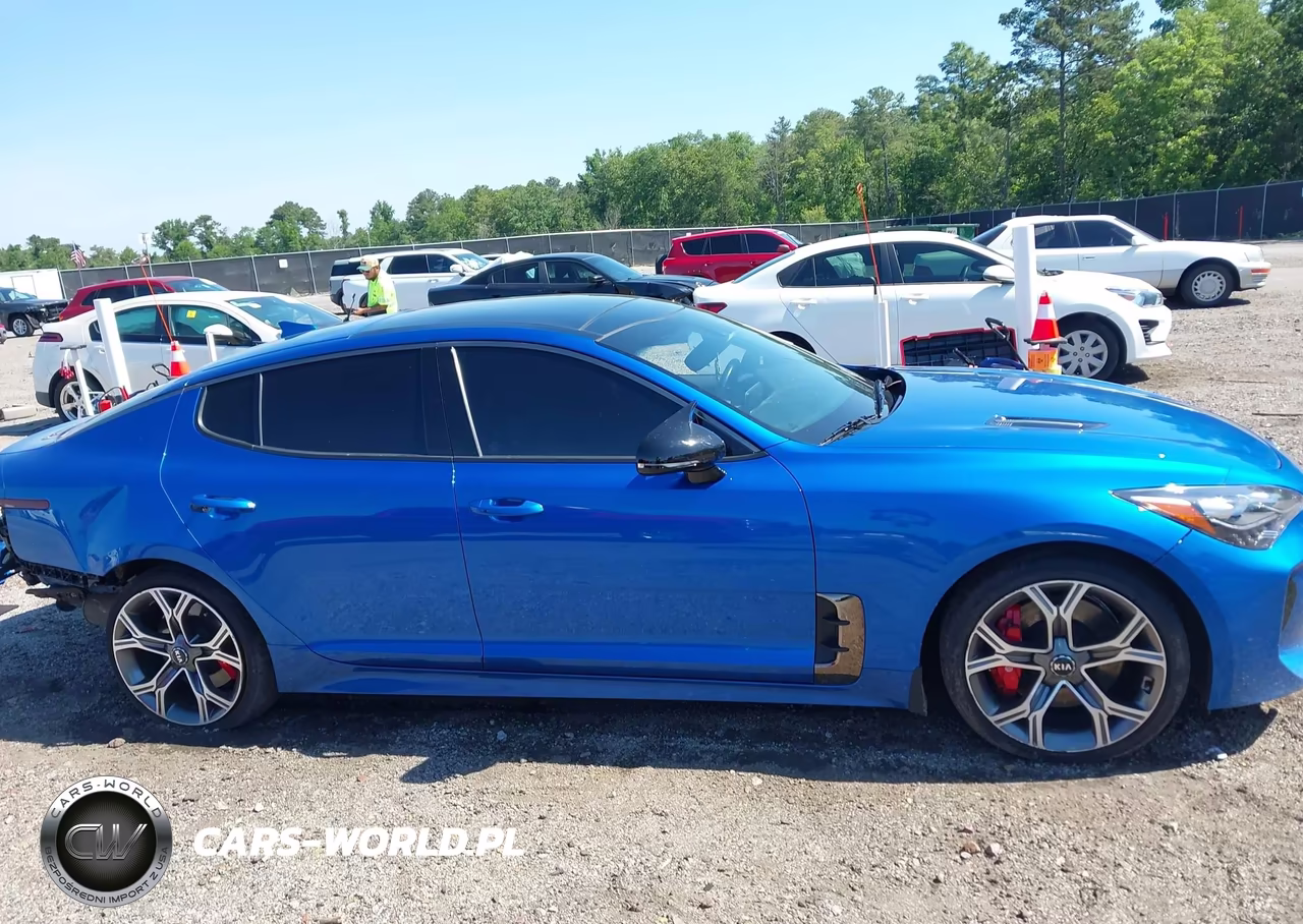2019 Kia Stinger Gt1 VIN:KNAE45LC9K6062457 - 14
