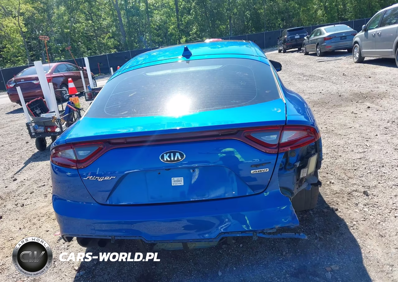 2019 Kia Stinger Gt1 VIN:KNAE45LC9K6062457 - 17
