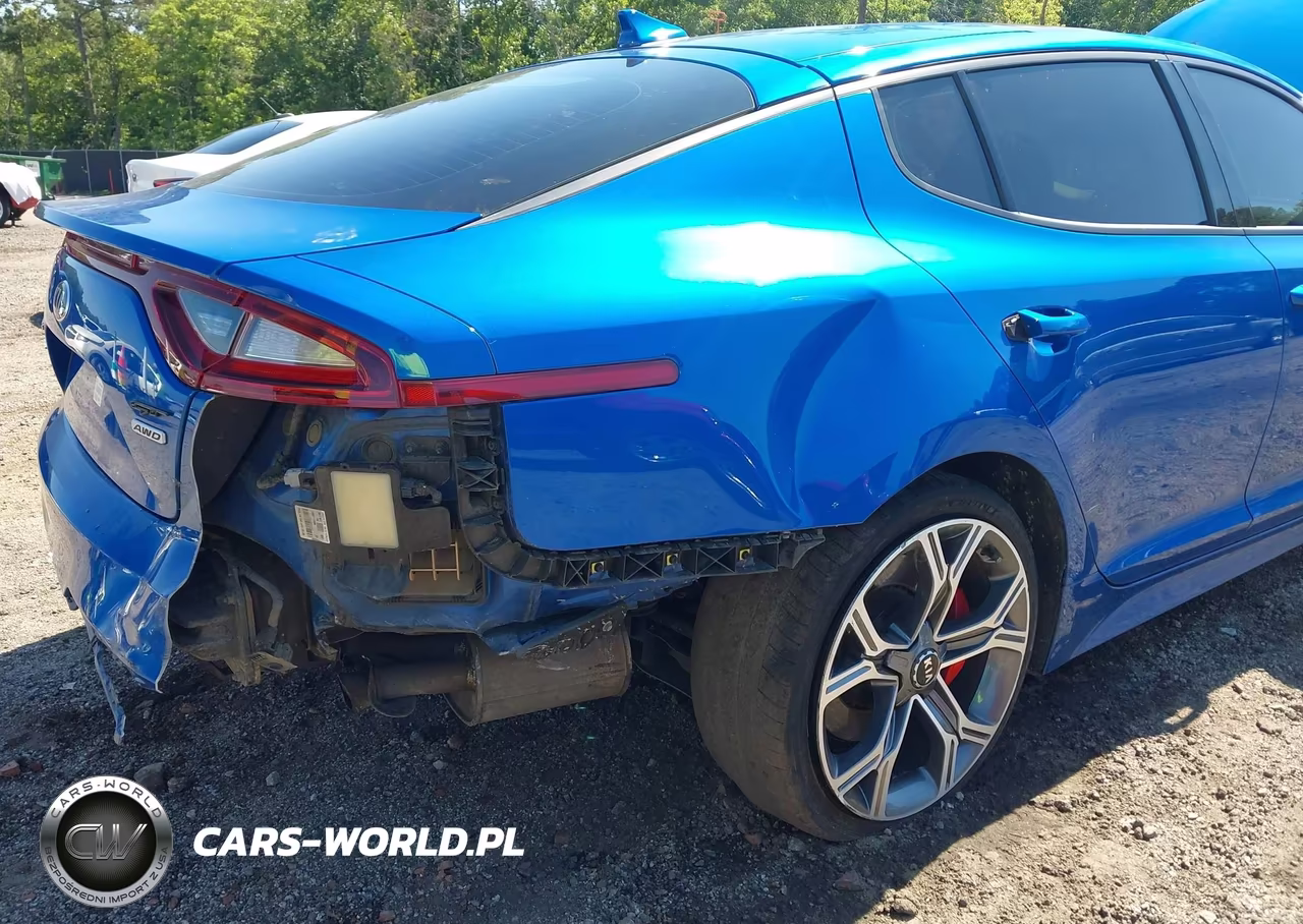 2019 Kia Stinger Gt1 VIN:KNAE45LC9K6062457 - 6