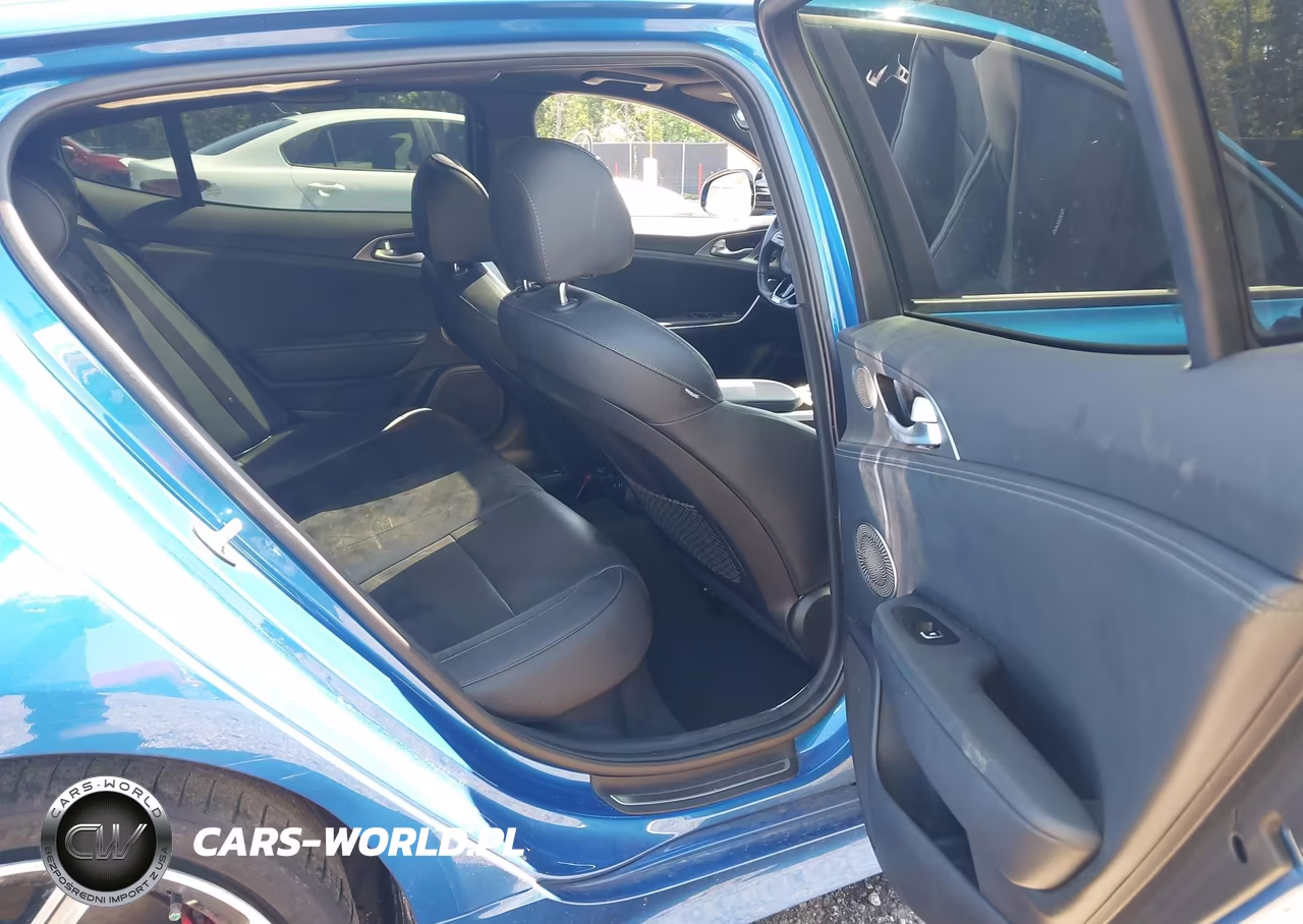 2019 Kia Stinger Gt1 VIN:KNAE45LC9K6062457 - 8
