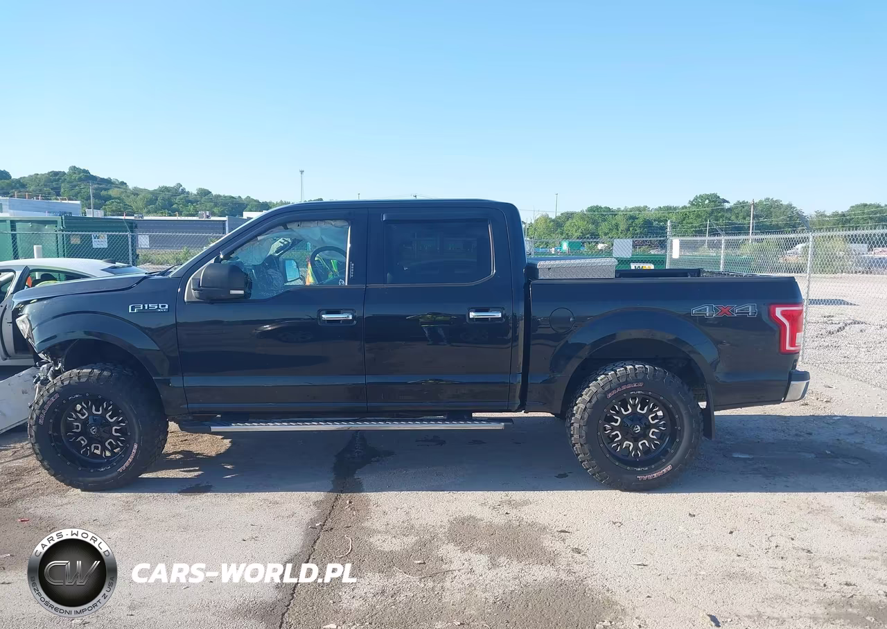 2015 Ford F-150 Xlt VIN:1FTEW1EF7FFA29556 - 15