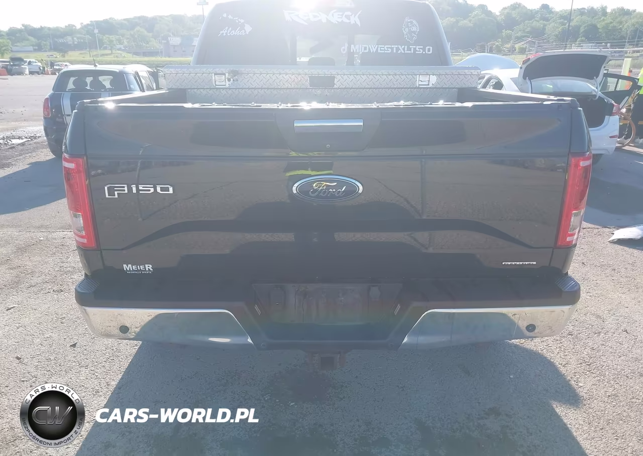 2015 Ford F-150 Xlt VIN:1FTEW1EF7FFA29556 - 17