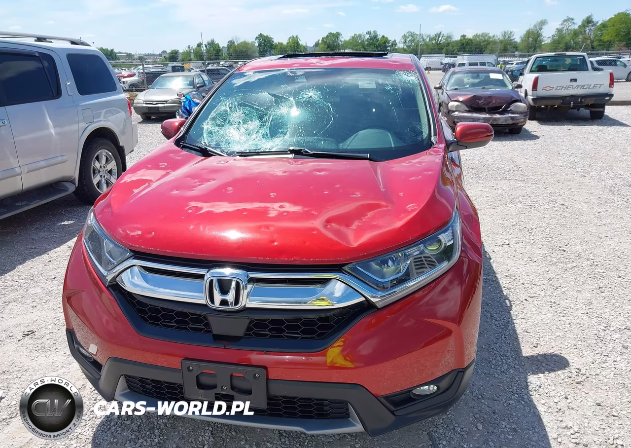 2019 Honda Cr-V Ex VIN:5J6RW2H53KL012415 - 12