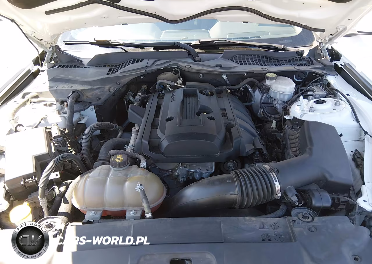 2019 Ford Mustang Ecoboost-Ecoboost Premium VIN:1FA6P8TH0K5153186 - 10
