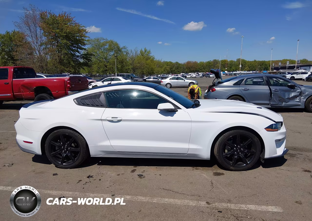 2019 Ford Mustang Ecoboost-Ecoboost Premium VIN:1FA6P8TH0K5153186 - 13