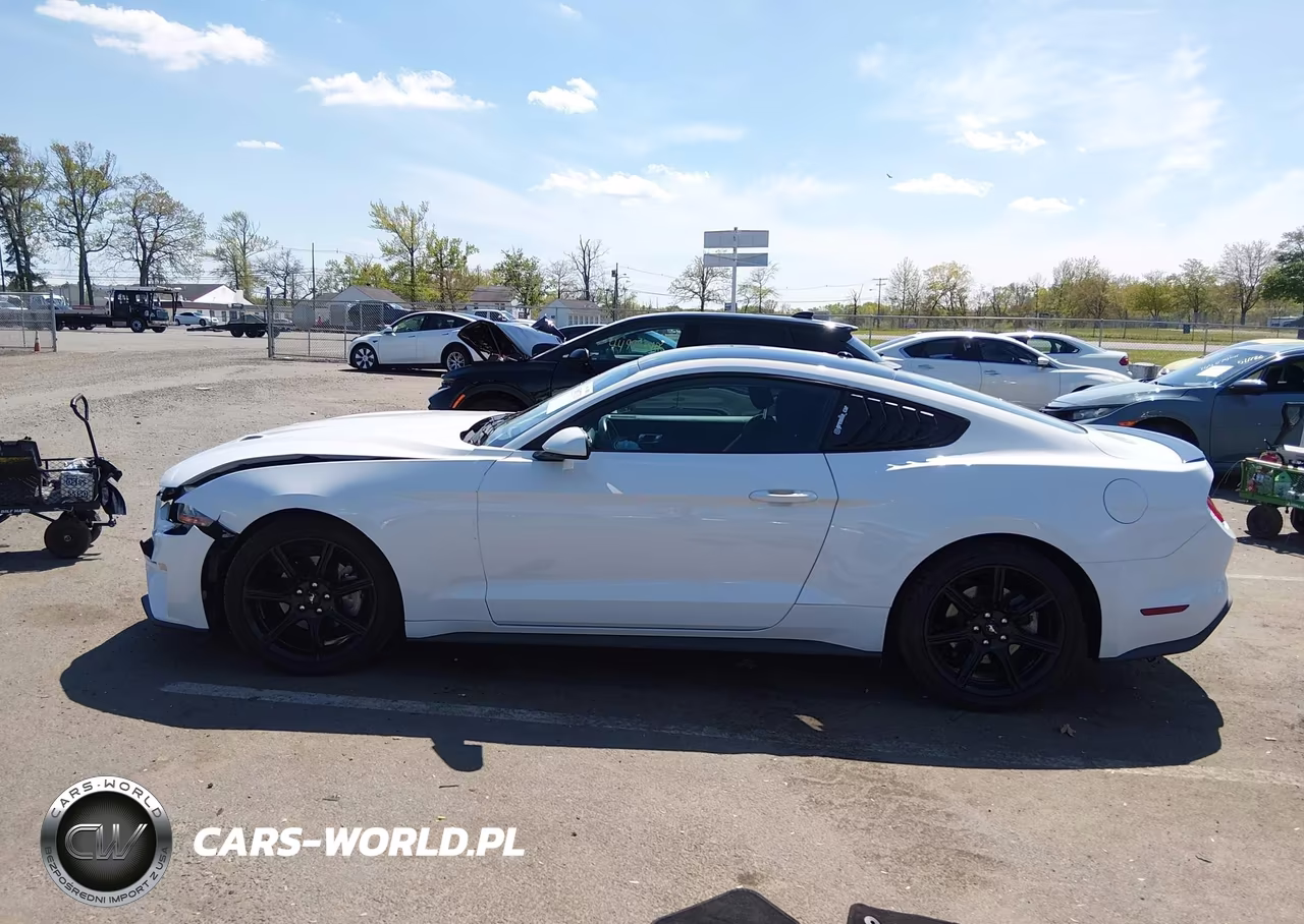 2019 Ford Mustang Ecoboost-Ecoboost Premium VIN:1FA6P8TH0K5153186 - 14