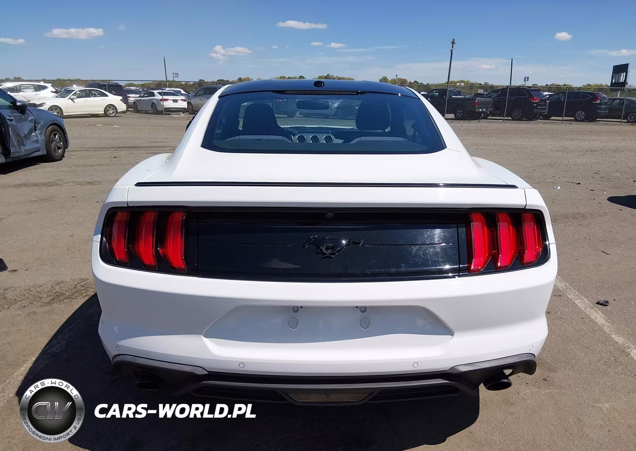 2019 Ford Mustang Ecoboost-Ecoboost Premium VIN:1FA6P8TH0K5153186 - 16