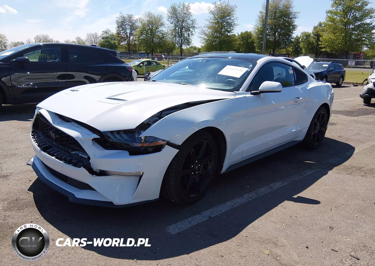 2019 Ford Mustang Ecoboost-Ecoboost Premium VIN:1FA6P8TH0K5153186 - 2