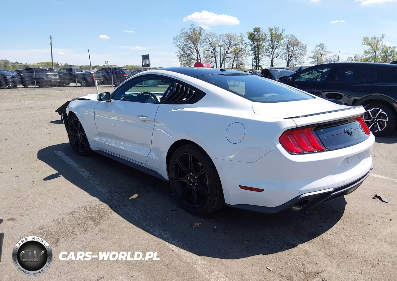 2019 Ford Mustang Ecoboost-Ecoboost Premium VIN:1FA6P8TH0K5153186 - 3