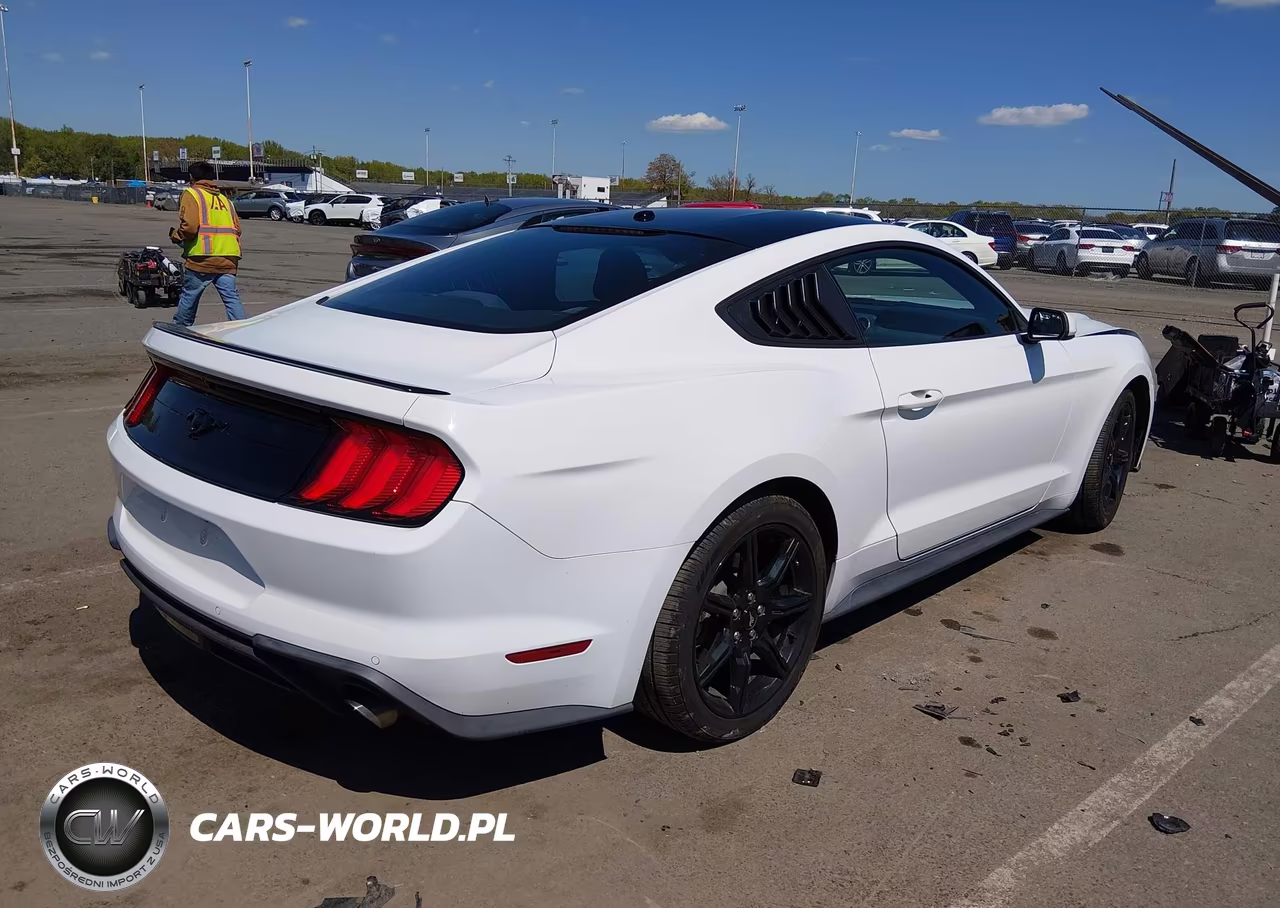 2019 Ford Mustang Ecoboost-Ecoboost Premium VIN:1FA6P8TH0K5153186 - 4