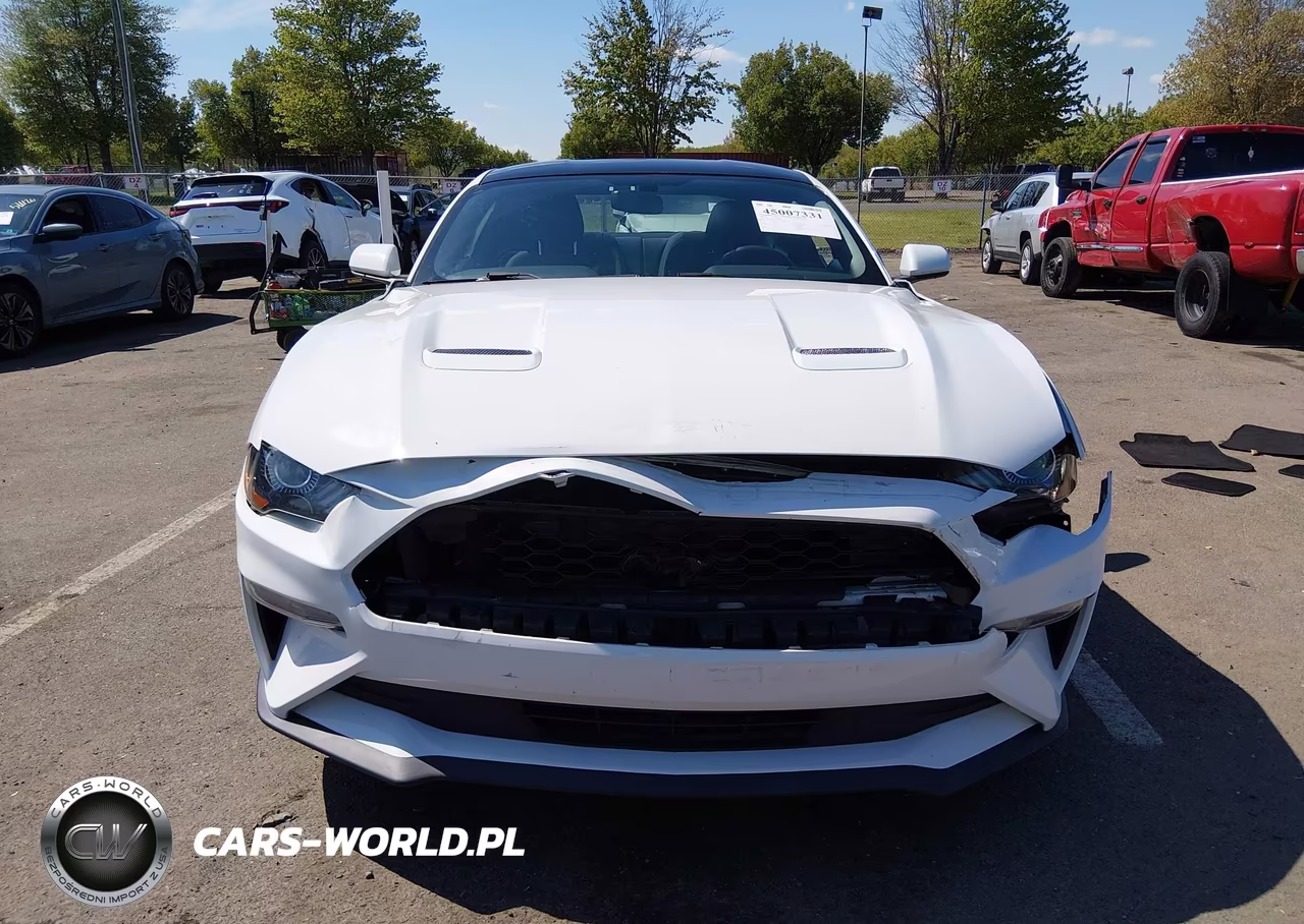 2019 Ford Mustang Ecoboost-Ecoboost Premium VIN:1FA6P8TH0K5153186 - 6