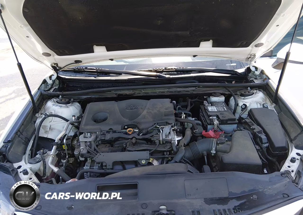 2020 Toyota Camry Le VIN:4T1C11AK9LU872735 - 10