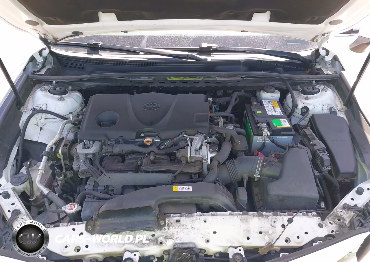 2020 Toyota Camry Le VIN:4T1C11AK7LU311918 - 10