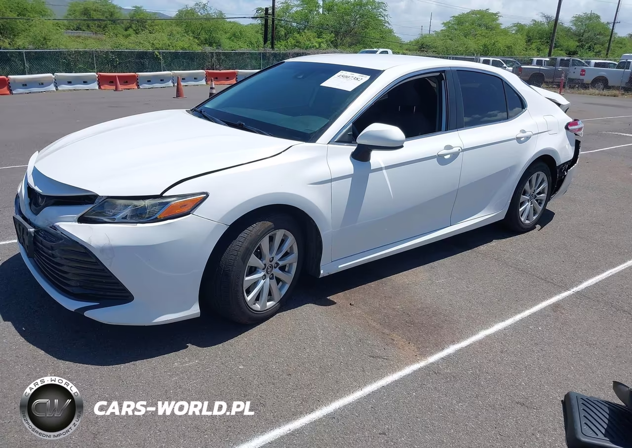 2020 Toyota Camry Le VIN:4T1C11AK7LU311918 - 2