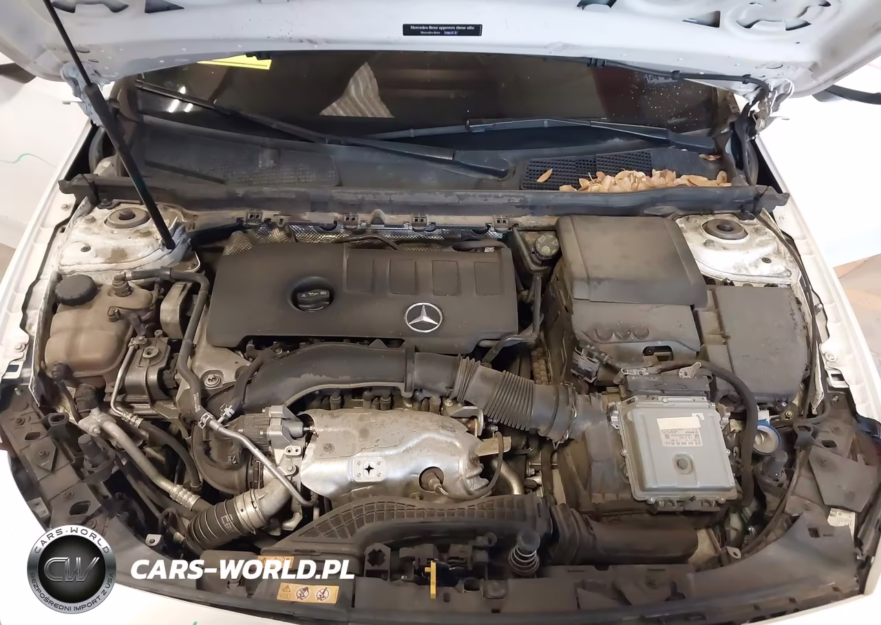 2019 Mercedes-Benz A 220 VIN:WDD3G4EBXKW015539 - 10