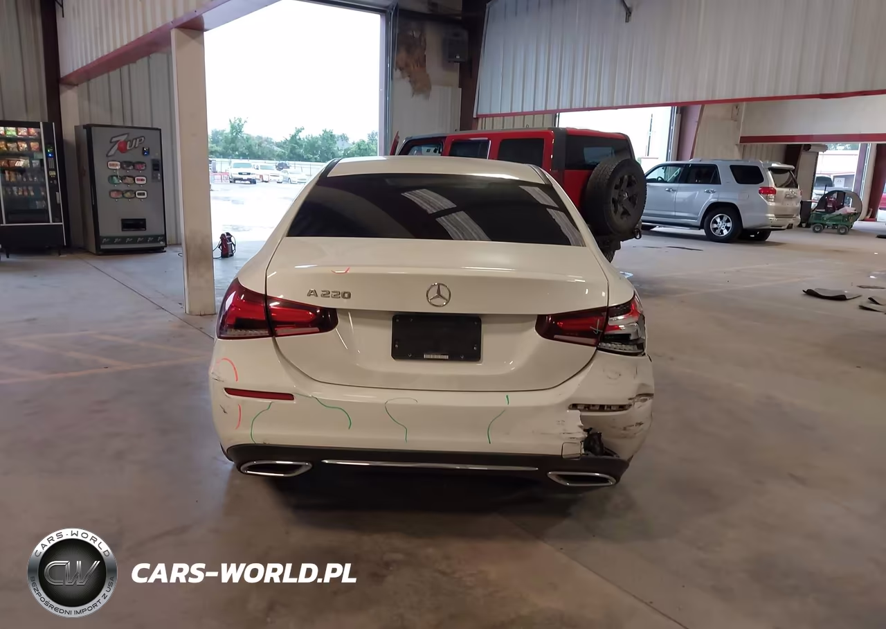 2019 Mercedes-Benz A 220 VIN:WDD3G4EBXKW015539 - 16