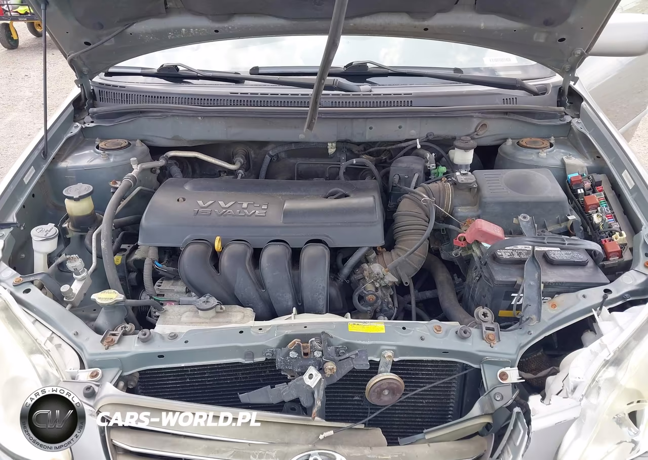 2003 Toyota Corolla Ce-Le VIN:JTDBR32E530040197 - 10