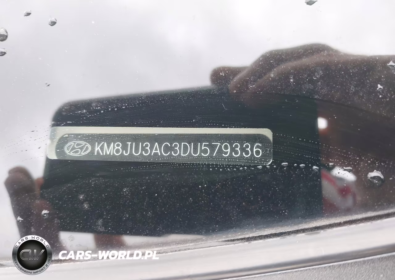 2013 Hyundai Tucson Limited VIN:KM8JU3AC3DU579336 - 9
