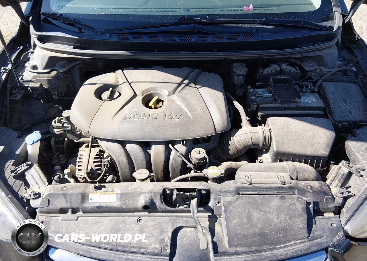 2012 Hyundai Elantra Gls VIN:5NPDH4AEXCH102697 - 10